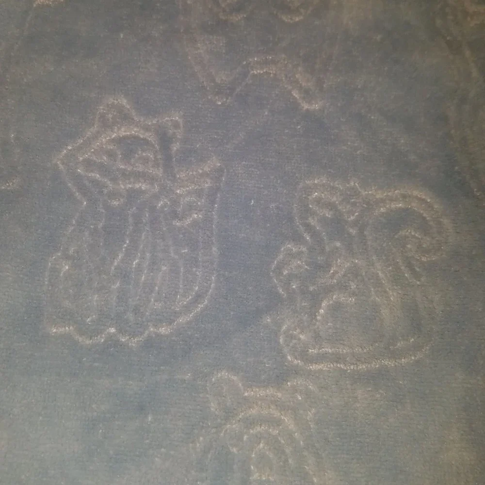 Baby Thro Blue Embossed Blanket Forest Animals Bear Deer Raccoon Rabbit